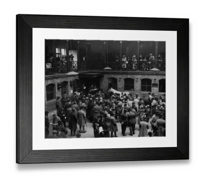Framed Print : Racehorse Auction Framed Print : Racehorse Auction