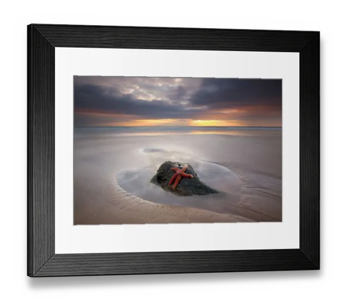 Framed Print : Starfish on rock at sunset Framed Print : Starfish on rock at sunset