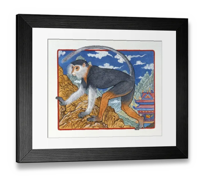 Framed Print : Illustration of Elegant Monkey, representing Chinese Year Of The Monkey Framed Print : Illustration of Elegant Monkey, representing Chinese Year Of The Monkey