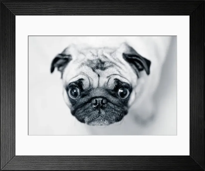 Framed Print : Just Enough Framed Print : Just Enough