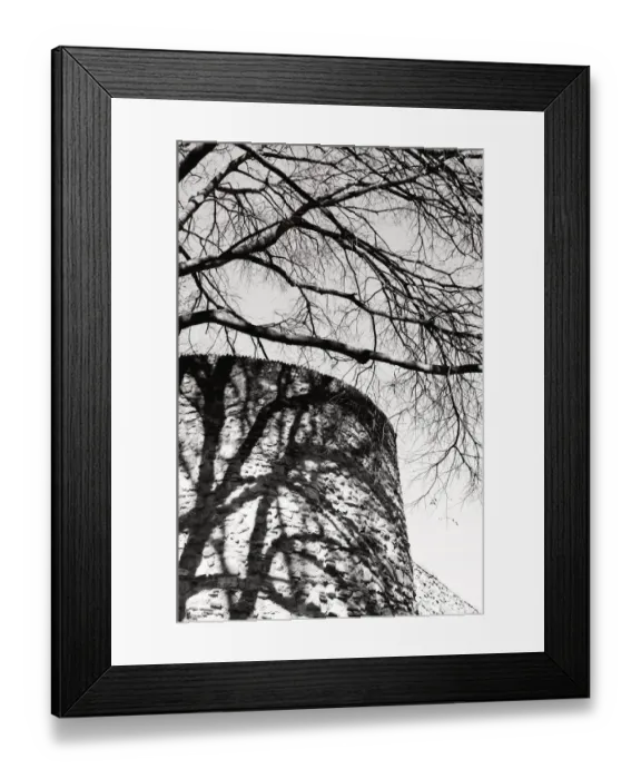 Framed Print : Shadow of a tree on an adjacent stone wall Framed Print : Shadow of a tree on an adjacent stone wall