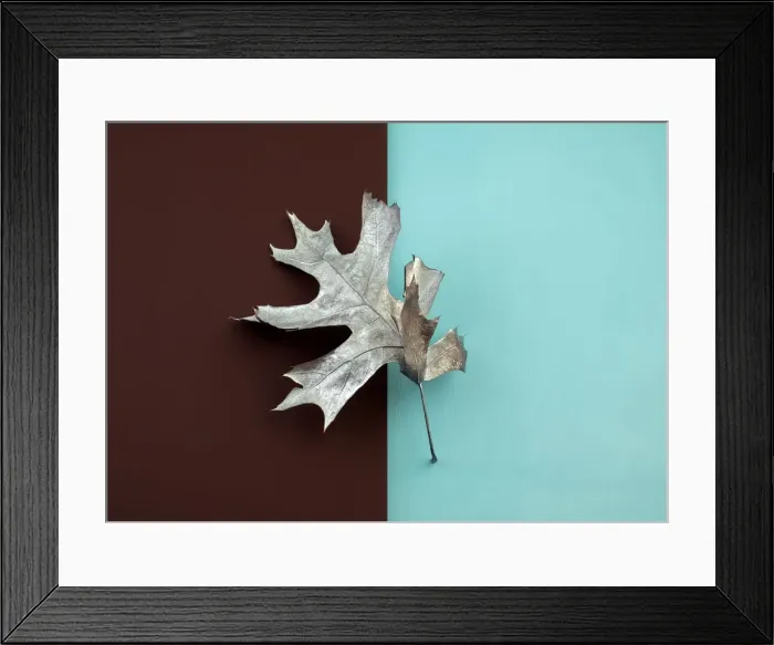 Framed Print : Painted silver oak leaf on brown and blue color blocked background Framed Print : Painted silver oak leaf on brown and blue color blocked background