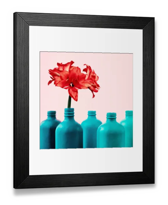 Framed Print : Amaryllis in painted bottle vase Framed Print : Amaryllis in painted bottle vase