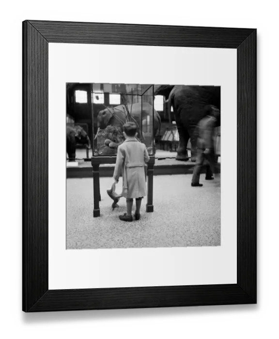 Framed Print : They re More My Size Framed Print : They re More My Size