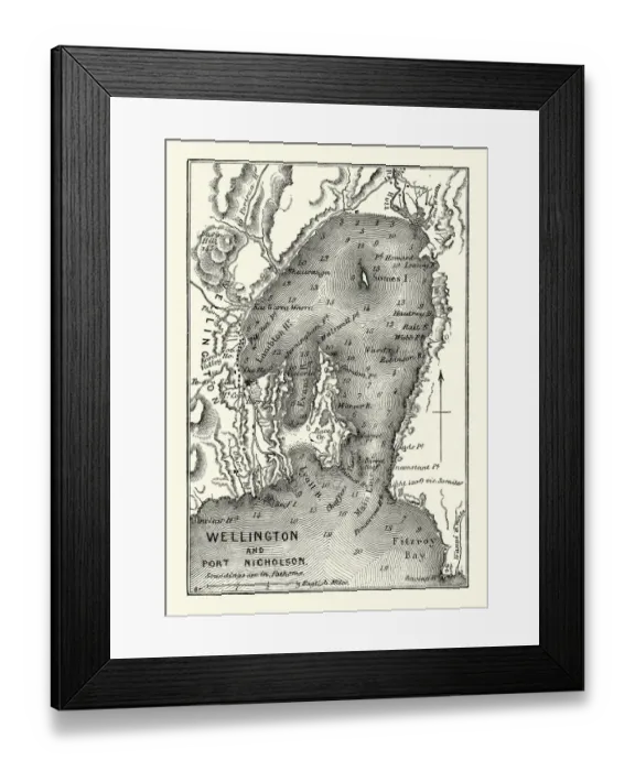 Framed Print : Map of Wellington and Port Nicholson, New Zealand, 19th Century Framed Print : Map of Wellington and Port Nicholson, New Zealand, 19th Century