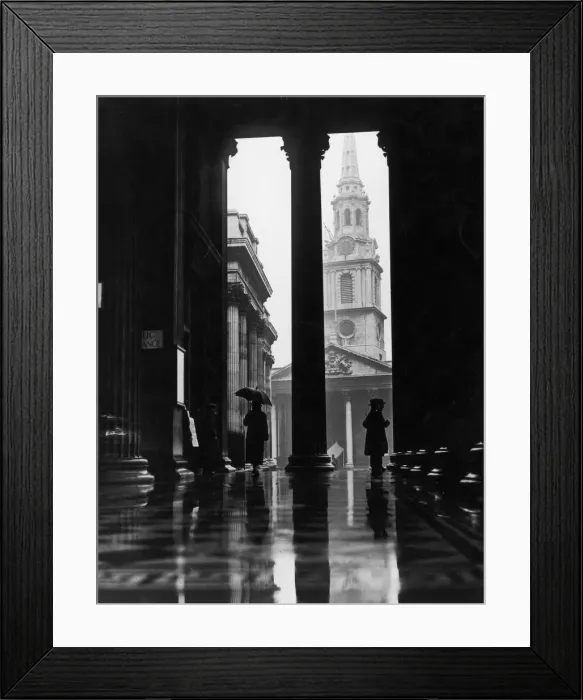 Framed Print : Sheltering From Rain Framed Print : Sheltering From Rain