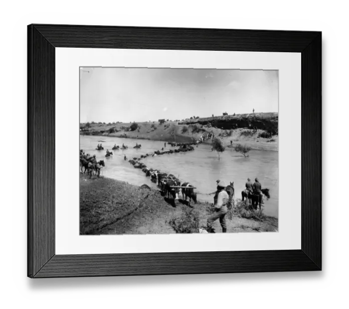 Framed Print : Boer War. circa 1900: Bullock wagon crossing drift Framed Print : Boer War. circa 1900: Bullock wagon crossing drift