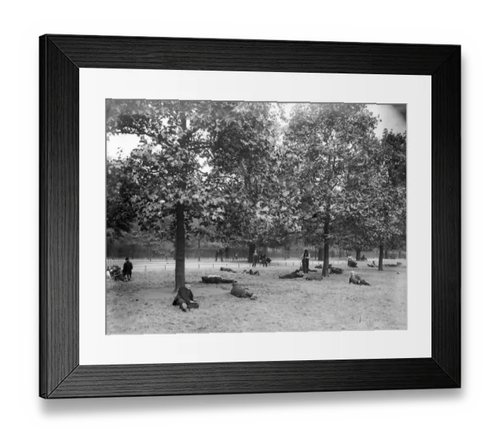 Framed Print : Park Rest. Unemployed men relax under the trees at St James Park in London Framed Print : Park Rest. Unemployed men relax under the trees at St James Park in London