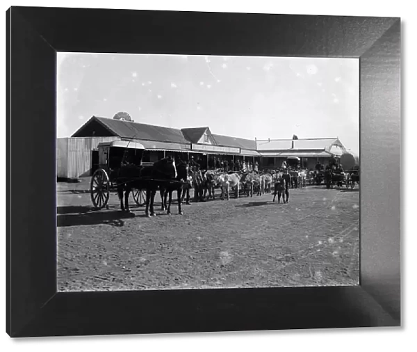 Boer War. circa 1900: Mule waggon taking in stores at De Aar