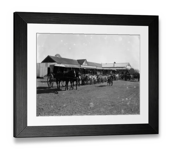 Framed Print : Boer War. circa 1900: Mule waggon taking in stores at De Aar