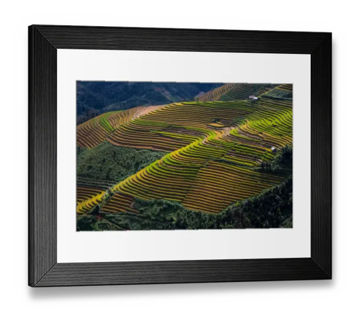 Framed Print : Rice terrace paddies in Mu Cang Chai, North Vietnam Framed Print : Rice terrace paddies in Mu Cang Chai, North Vietnam