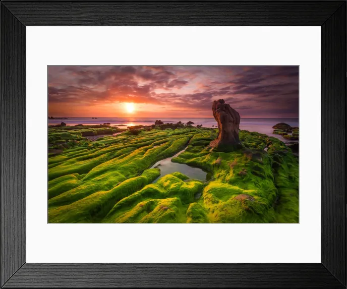 Framed Print : Vietnam - Sunrise over green moss cover rocks in Co Thach beach, Binh Thuan Framed Print : Vietnam - Sunrise over green moss cover rocks in Co Thach beach, Binh Thuan