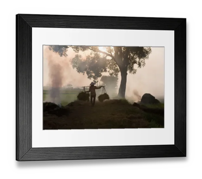 Framed Print : One woman carry a balance in harvest time Framed Print : One woman carry a balance in harvest time