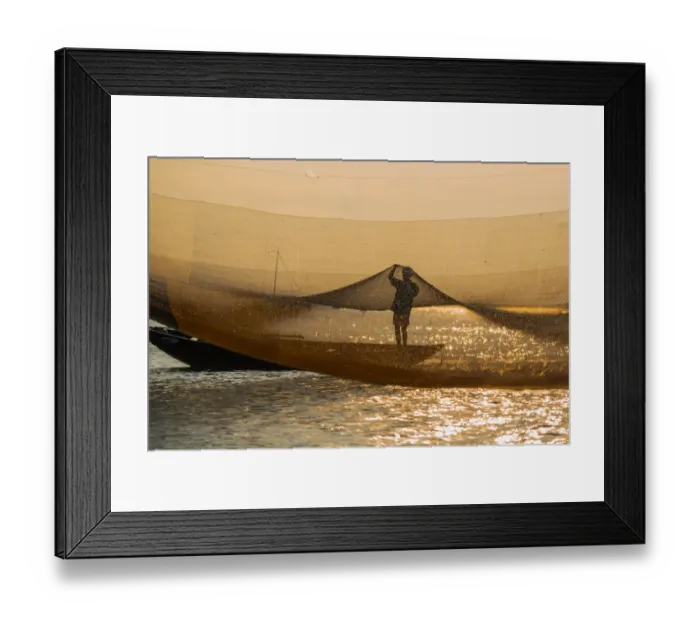 Framed Print : A man checking golden net in Hoi An river, Quang Nam province, Vietnam