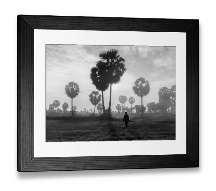 Framed Print : Vietnam - A farmer go to work under the jaggery trees in early morning at An Giang Framed Print : Vietnam - A farmer go to work under the jaggery trees in early morning at An Giang