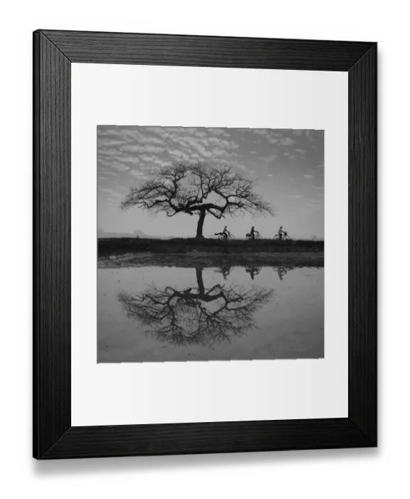 Framed Print : Reflections of farmers go to work near a lonely trees in early morning