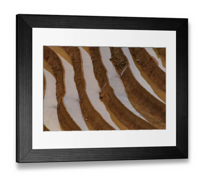 Framed Print : Water field in rice terrace paddies in North Vietnam Framed Print : Water field in rice terrace paddies in North Vietnam