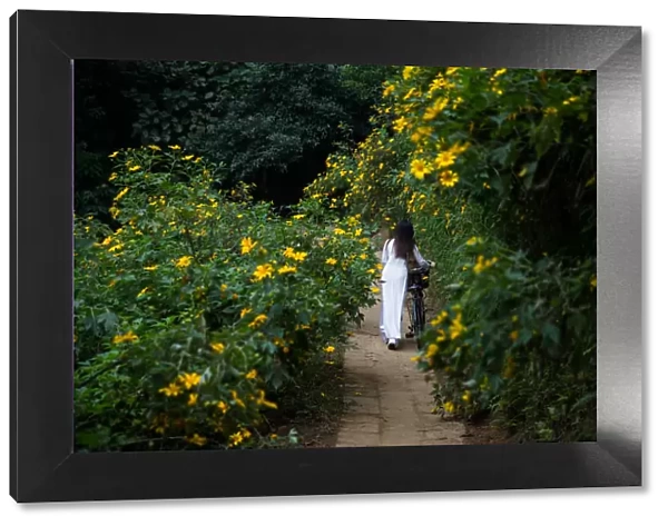 Ao Dai - Woman with bycicle walking between flower plant