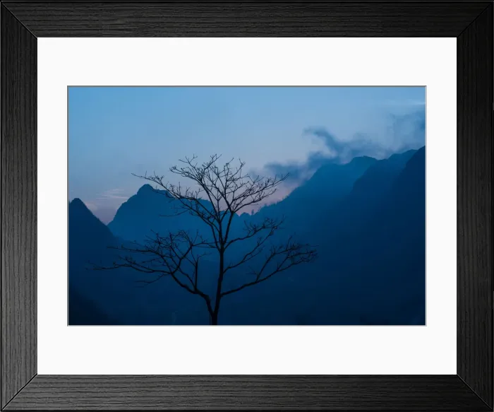Framed Print : A leafless tree in front of mountains background Framed Print : A leafless tree in front of mountains background