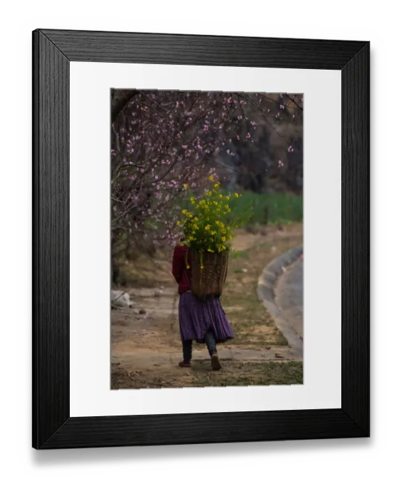 Framed Print : Woman Hanging Flower Bag near Bloosom Tree Framed Print : Woman Hanging Flower Bag near Bloosom Tree