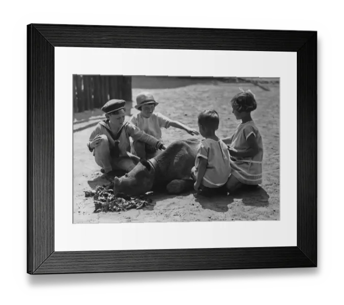 Framed Print : Playing with A Baby Rhino Framed Print : Playing with A Baby Rhino