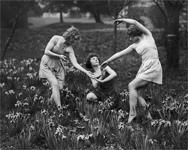 Dancers With Daffodils