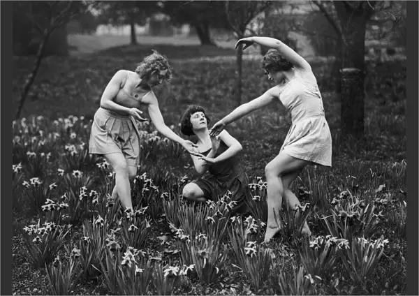 Dancers With Daffodils