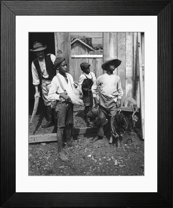 Framed Print : Farm Boys. A group of African-American boys holding chickens on a farm in North Carolina Framed Print : Farm Boys. A group of African-American boys holding chickens on a farm in North Carolina