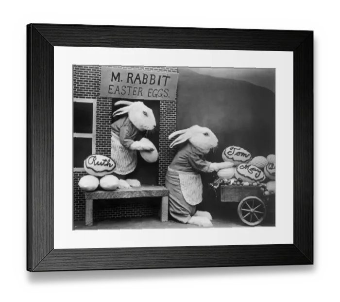 Framed Print : Bunny Business Framed Print : Bunny Business