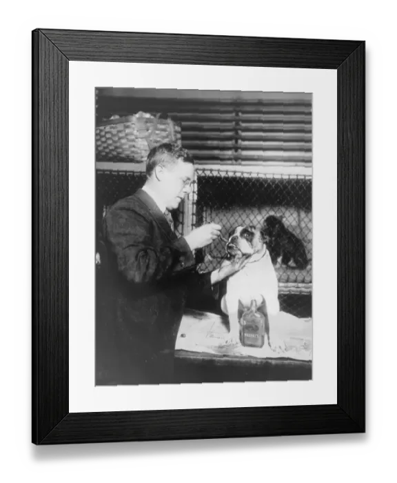 Framed Print : Whisky Whiskers Framed Print : Whisky Whiskers
