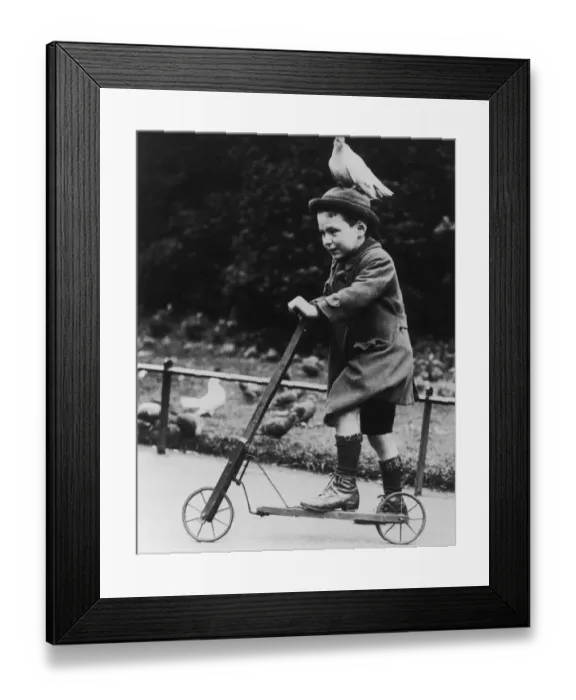 Framed Print : Lazy Dove. A small boy on a scooter and with a dove perched on his hat, circa 1930 Framed Print : Lazy Dove. A small boy on a scooter and with a dove perched on his hat, circa 1930