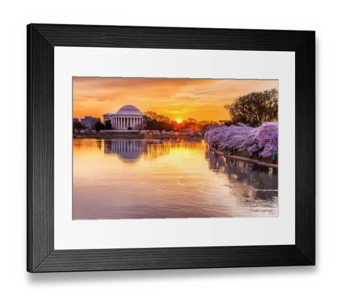 Framed Print : Cherry blossom sunrise Framed Print : Cherry blossom sunrise