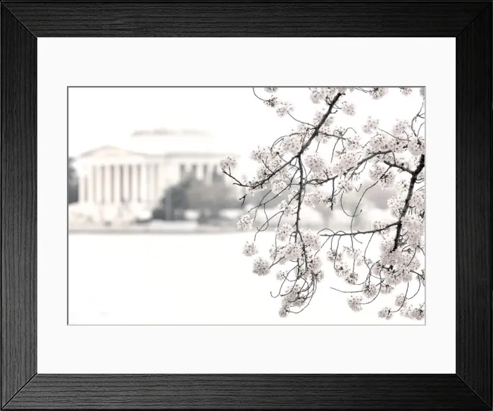 Framed Print : cloudy with a chance of tourists Framed Print : cloudy with a chance of tourists