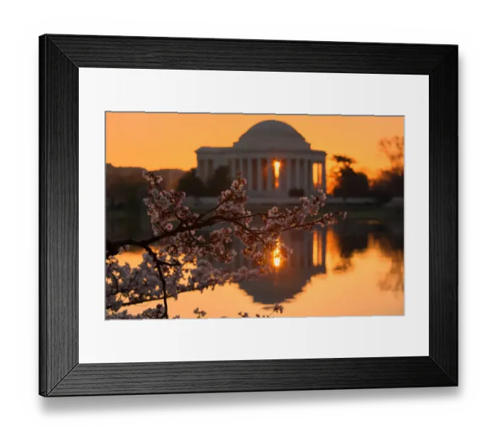 Framed Print : Cherry blossom sunrise Framed Print : Cherry blossom sunrise