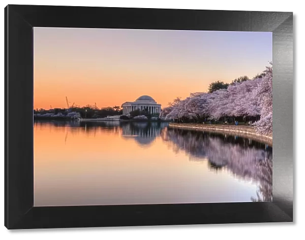 Jefferson Memorial Cherry Blossom Sunrise