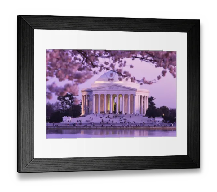 Framed Print : Cherry Blossoms by Jefferson Memorial Framed Print : Cherry Blossoms by Jefferson Memorial