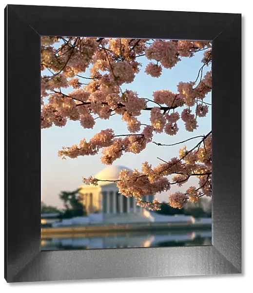Jefferson Memorial and Tidal Basin with cherry blossoms, Washington, DC