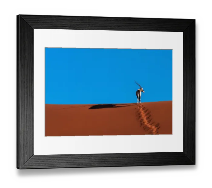 Framed Print : Oryx Antelope at the Namib desert Framed Print : Oryx Antelope at the Namib desert