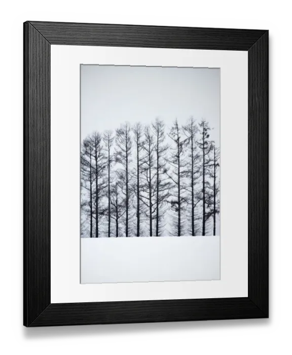 Framed Print : The Iconic pine trees in Biei, Hokkaido, Japan