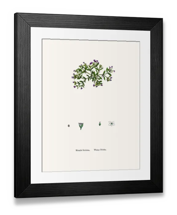Framed Print : Waterblinks Framed Print : Waterblinks