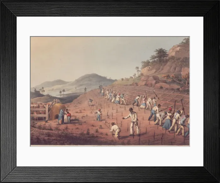 Framed Print : Ploughing Field Framed Print : Ploughing Field