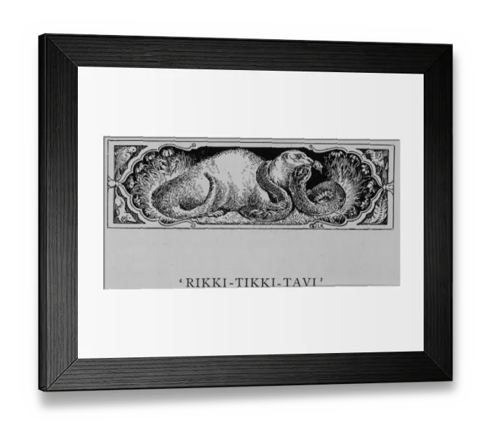 Framed Print : Jungle Book Framed Print : Jungle Book