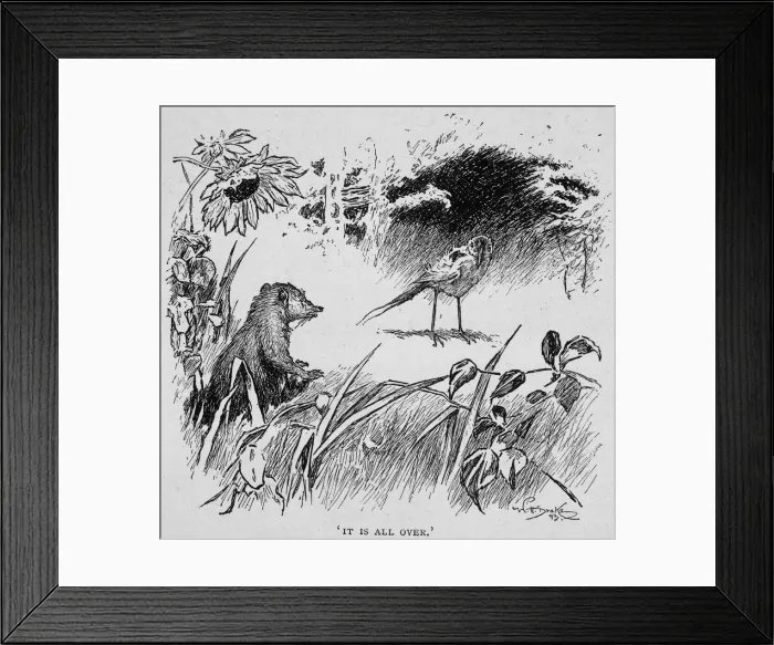 Framed Print : Jungle Book Framed Print : Jungle Book