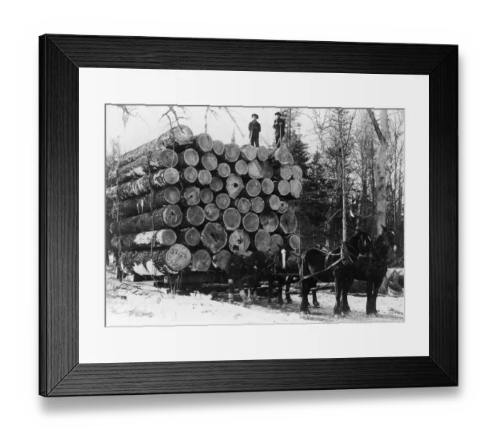 Framed Print : Lumberjacks