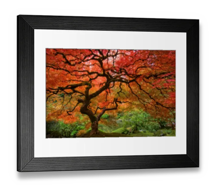 Framed Print : Japenese Garden, Portland Framed Print : Japenese Garden, Portland