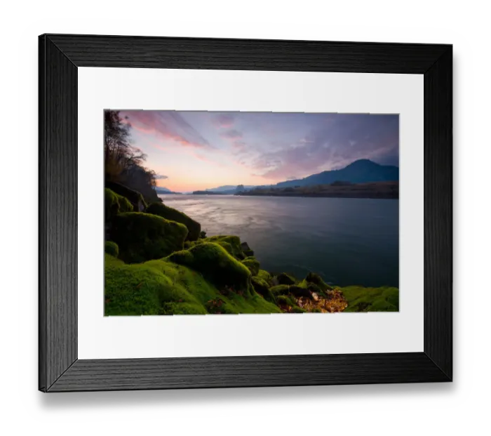 Framed Print : Mossy Wonderland II Framed Print : Mossy Wonderland II