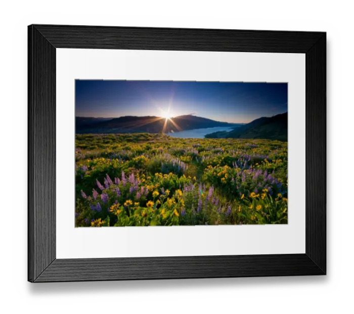 Framed Print : Rowena Crest - Spring 2008 Framed Print : Rowena Crest - Spring 2008