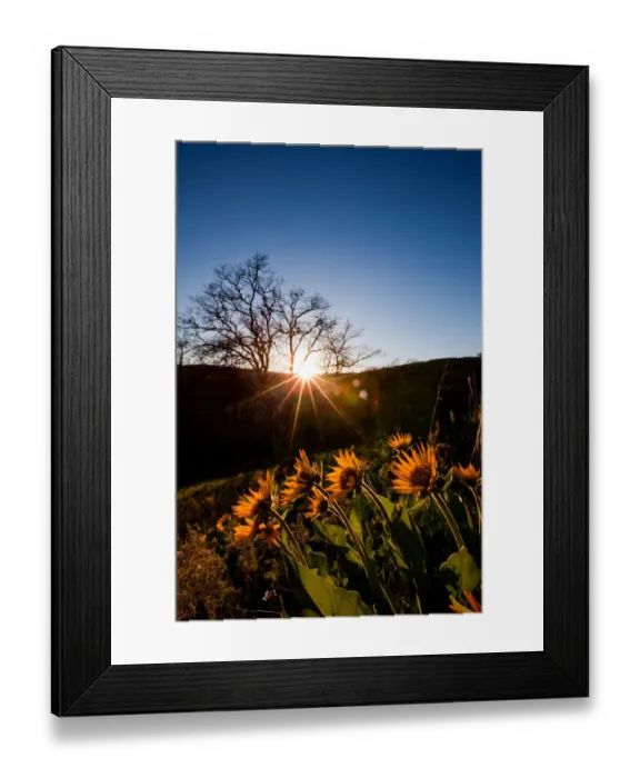 Framed Print : Columbia Hills Framed Print : Columbia Hills