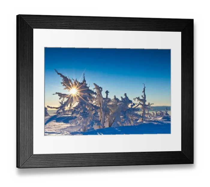 Framed Print : Snow covered trees on Bends Mount Tumalo, Oregon Framed Print : Snow covered trees on Bends Mount Tumalo, Oregon