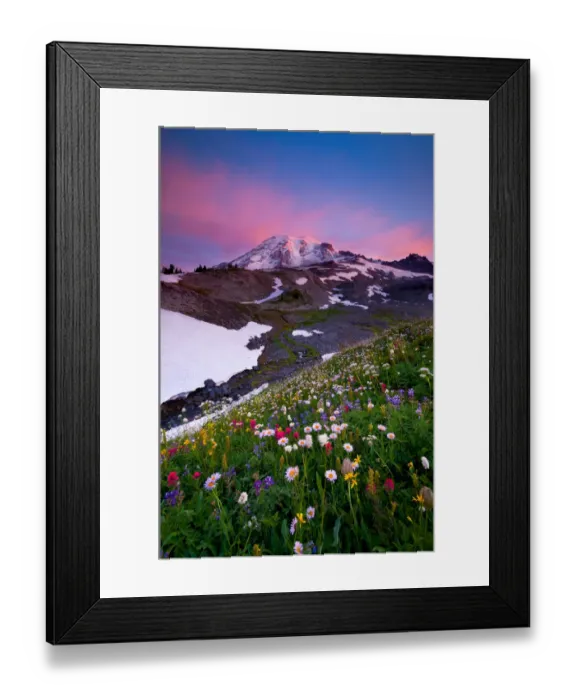 Framed Print : Mount Rainier wildflowers at sunrise Framed Print : Mount Rainier wildflowers at sunrise